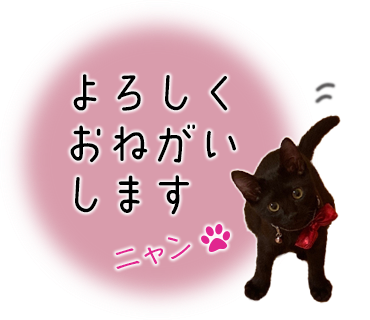 保護猫スタンプ