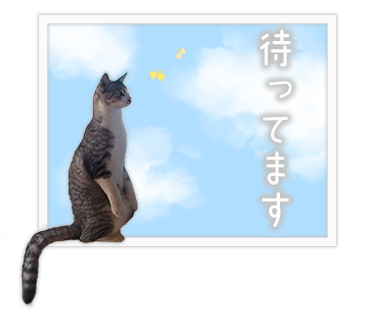 保護猫スタンプ