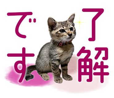 保護猫スタンプ