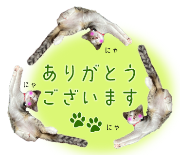 保護猫スタンプ