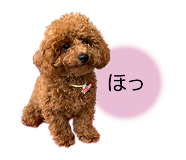 犬のLINEスタンプ