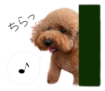 犬のLINEスタンプ