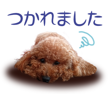 犬のLINEスタンプ