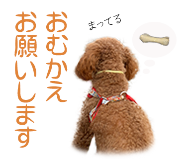 犬のLINEスタンプ