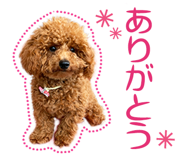 犬のLINEスタンプ