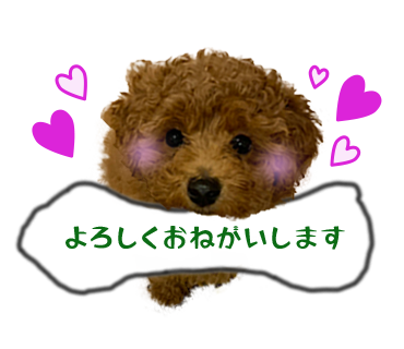 犬のLINEスタンプ