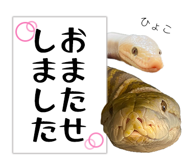 爬虫類のLINEスタンプ